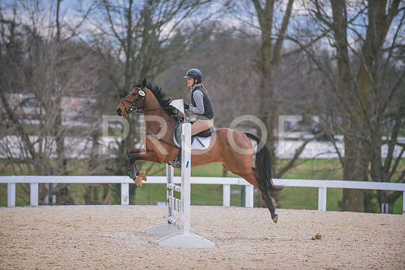 DSC_0184 copy