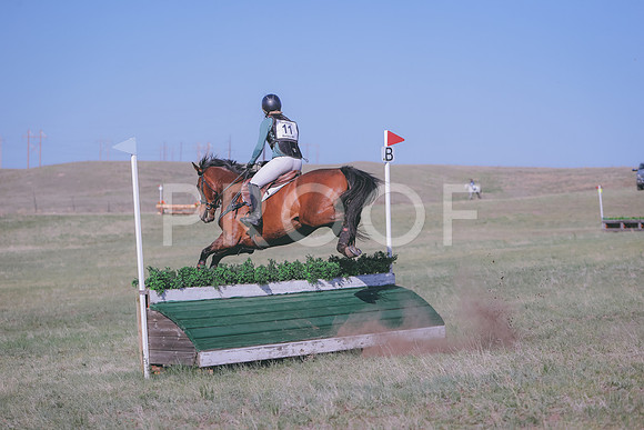 CDH_9539