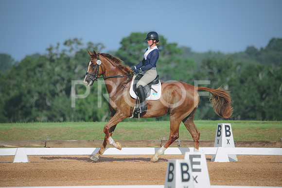 RWP_4422
