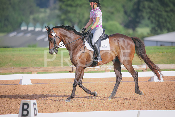 RWP_4336