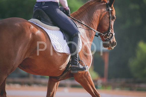 RWP_4271