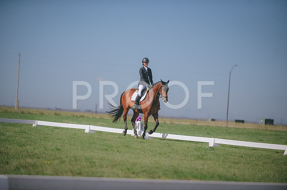 JJS_8438