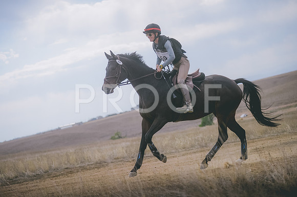 JJS_1565