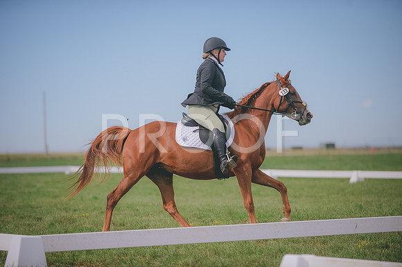 JJS_0567