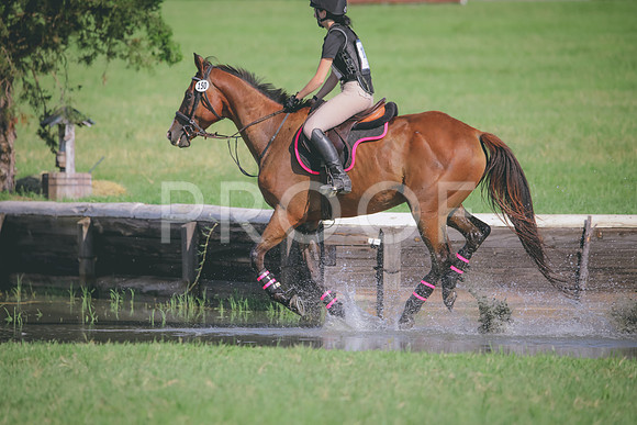 RWP_6299