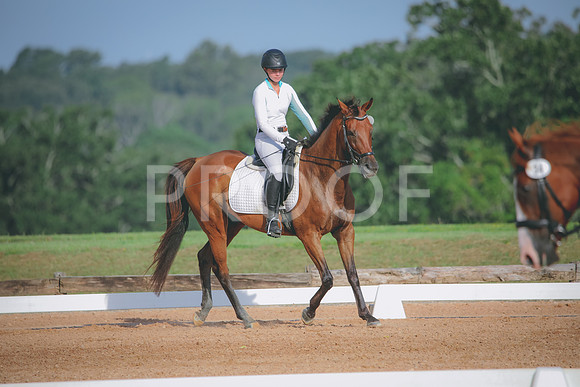 RWP_4475