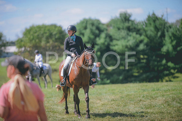 JJS_0146