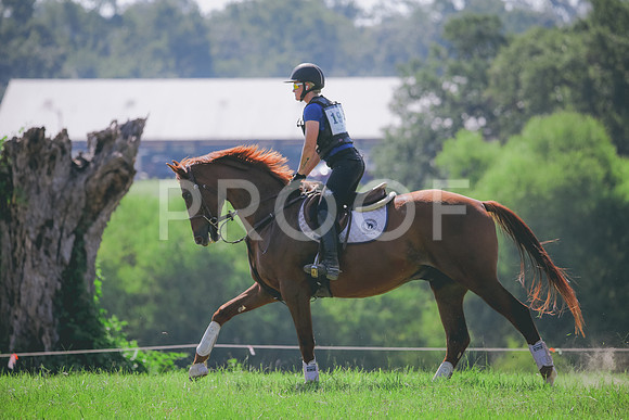 RWP_6481