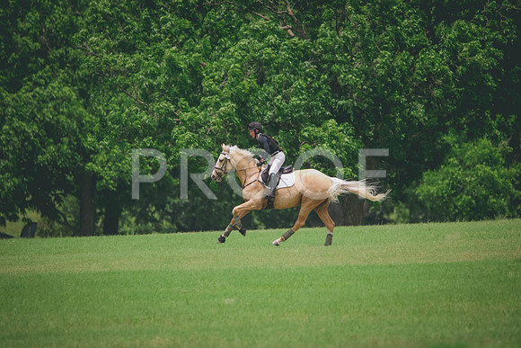 RWP_2228