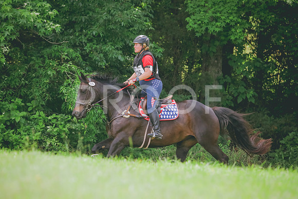 RWP_4818