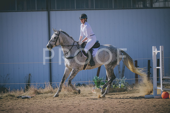 JJS_2628