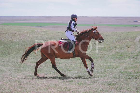 CDH_9029