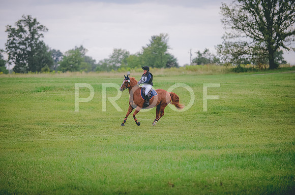 JJS_0786