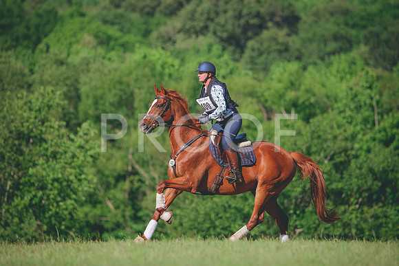 RWP_2934