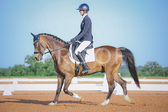 RWP_3706