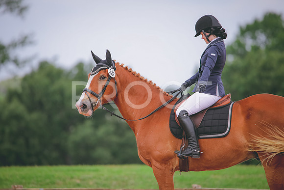 RWP_4232