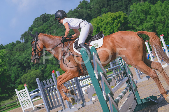 DSC_0660
