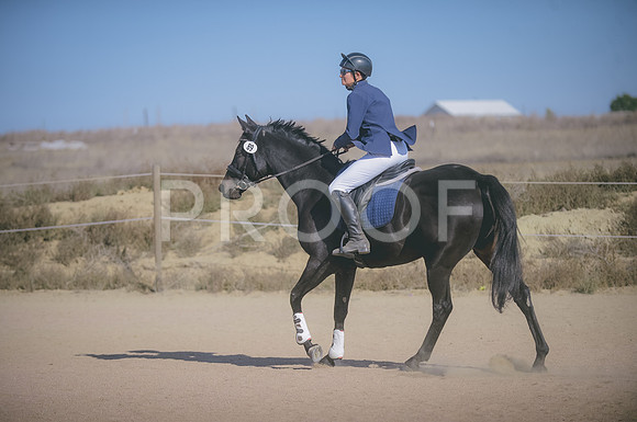 JJS_2871