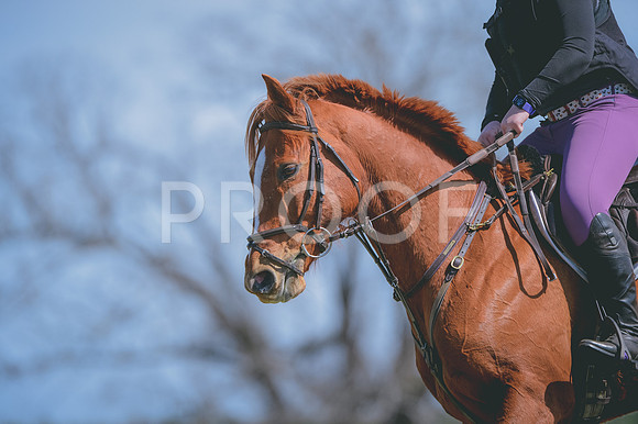 JJS_7039