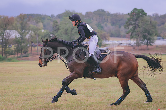 861A9539