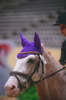 DSC_5454A