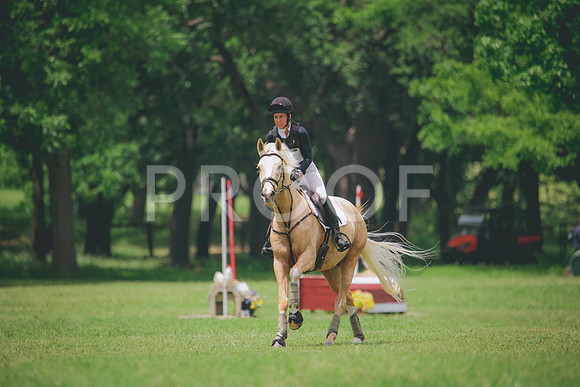 RWP_2233