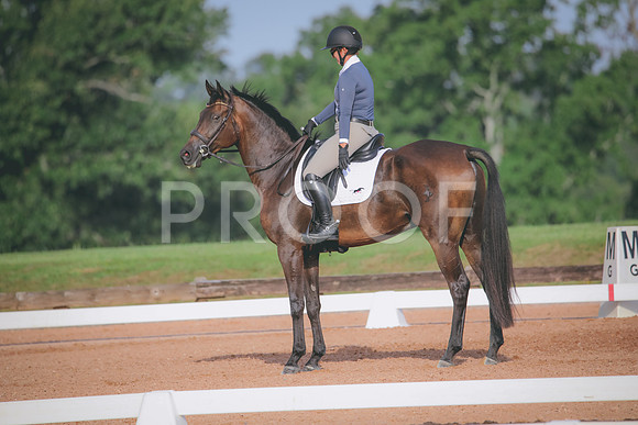 RWP_4411