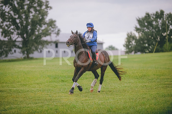 JJS_0935