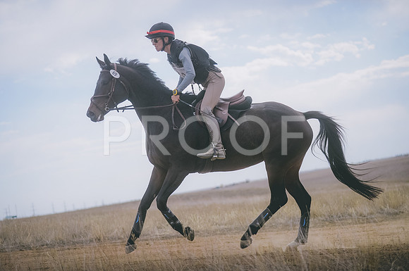 JJS_1568