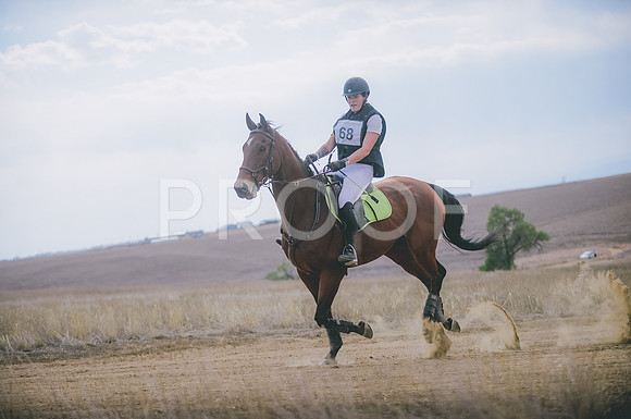 JJS_1360