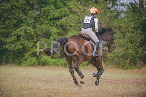 JJS_4049