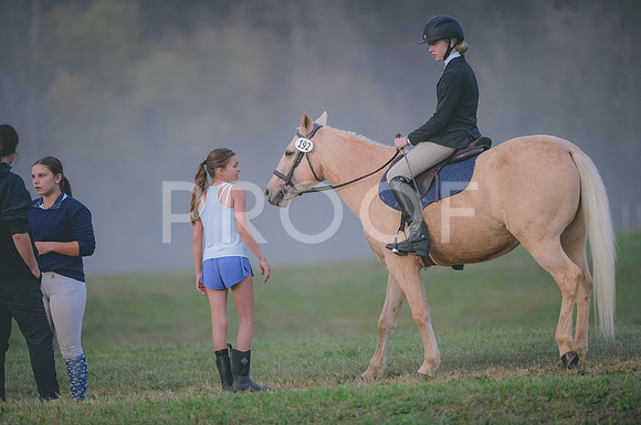 JJS_2317
