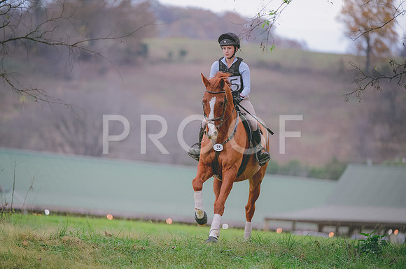JJS_0977
