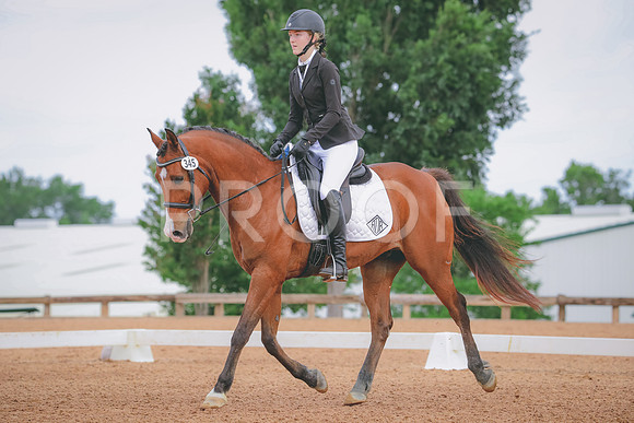 RWP_4234