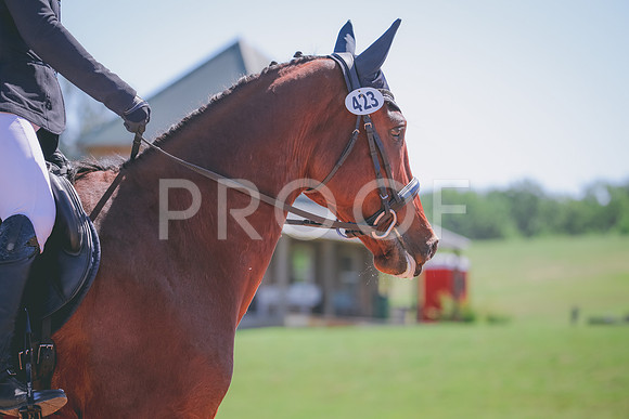 RWP_9929