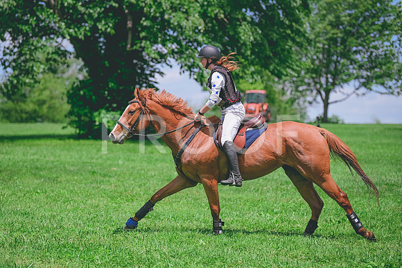 CRR_1281