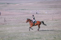 CDH_9514