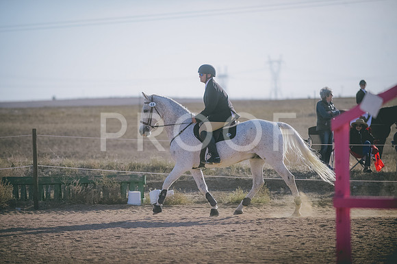JJS_8419