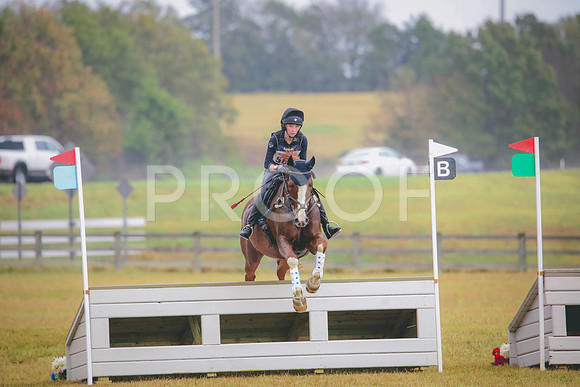 RWP_2024