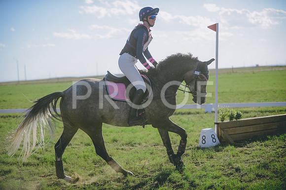 JJS_1713