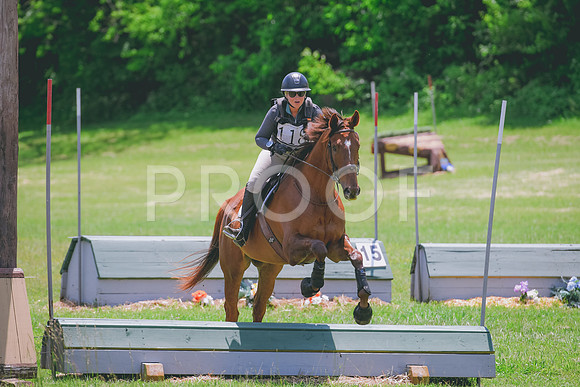 DSC_4599