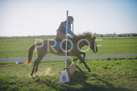 JJS_3595
