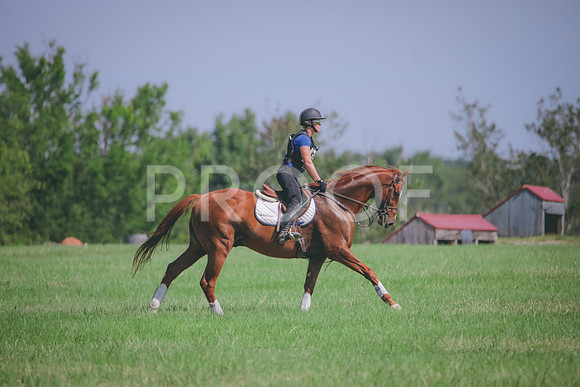 RWP_6491