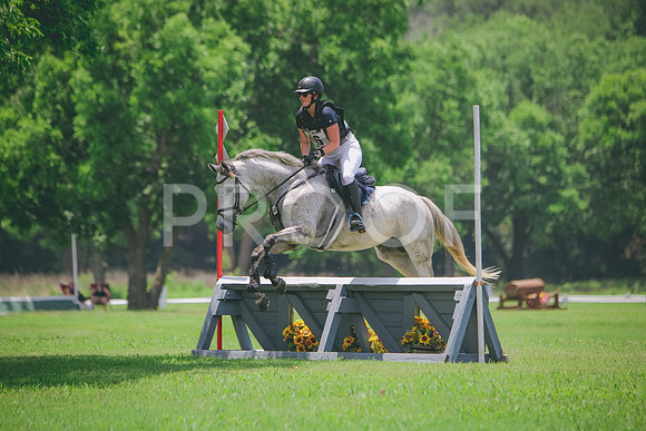 RWP_3163