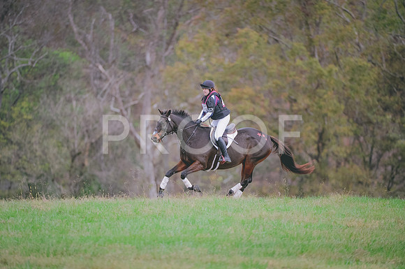 JJS_0440