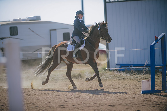JJS_3662