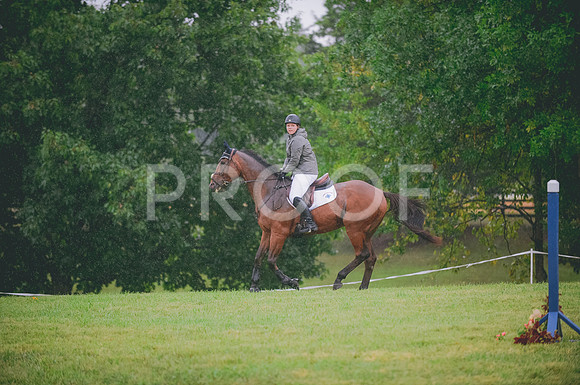 JJS_7504
