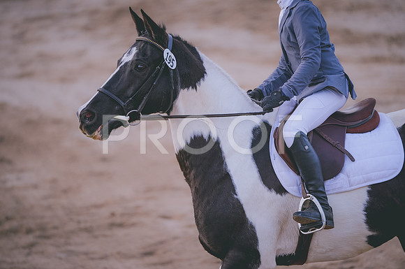 JJS_4240