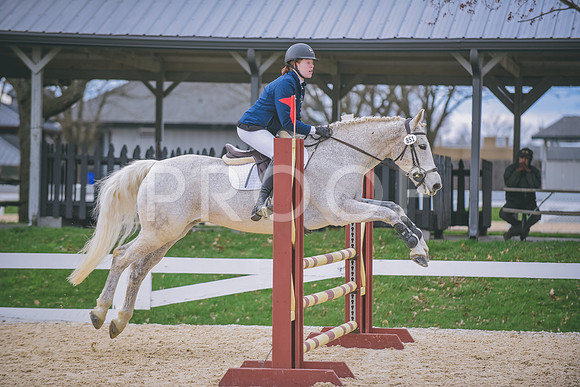 DSC_0686 copy