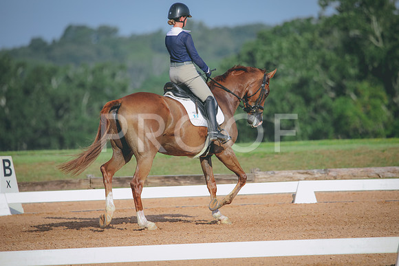 RWP_4427